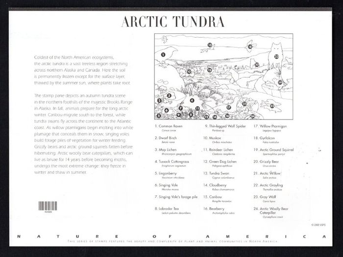 2003 USA American Nature of America : Arctic Tundra Commemorative Stamps Sheet Mint Never Hinged (MNH)