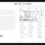2003 USA American Nature of America : Arctic Tundra Commemorative Stamps Sheet Mint Never Hinged (MNH) Image 2