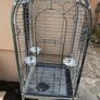 bird cage Image 3