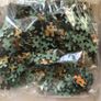 Kitten Jigsaw 500 pieces Image 2