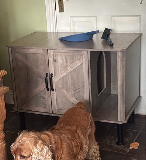 Cat litter box enclosure