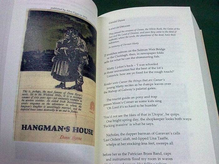 Reading the future New writing from Ireland