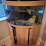 Fish Image 6