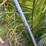 Titleist T150 48 degree golf wedge Image 4