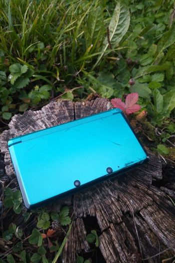 Nintendo 3DS with Luma3DS(Homebrew Launcher)