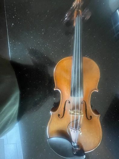 Violin