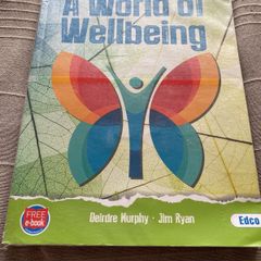 A World of Wellbeeing junior cycle