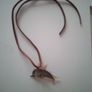 Dolphin pendant Image 2