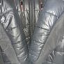 Canada Goose Image 4