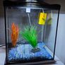 17l fish tank Image 3