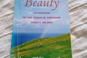 John O Donohue Beauty the invisible embrace 2005 in good condition with some signs of wear on the cover see photos FREE STANDARD POSTAGE INCLUDED