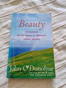 John O Donohue Beauty the invisible embrace 2005 in good condition with some signs of wear on the cover see photos FREE STANDARD POSTAGE INCLUDED