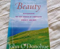 John O Donohue Beauty the invisible embrace 2005 in good condition with some signs of wear on the cover see photos FREE STANDARD POSTAGE INCLUDED