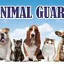 Heavy Duty Dog Cat Nail Clippers & Filer Image 5