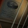 tanglewood Image 2