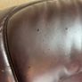 Armchair Image 4