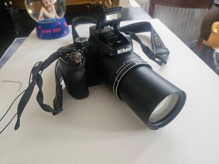 Nikon Coolpix P510
