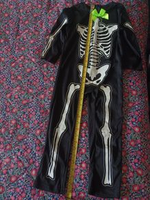 Skeleton