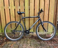 Adults bike (fully serviced)