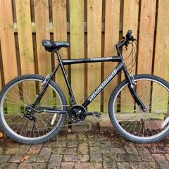 Adults bike (fully serviced)