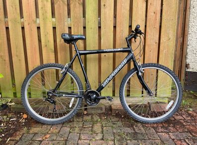 Adults bike (fully serviced)