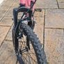 Avoca Mountain Bike 20 inch Image 6