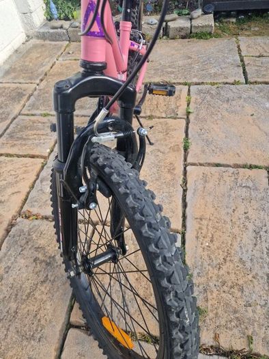 Avoca Mountain Bike 20 inch