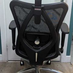 Ergonomic Office Chair Fully Adjustable Lumbar & Headrest
