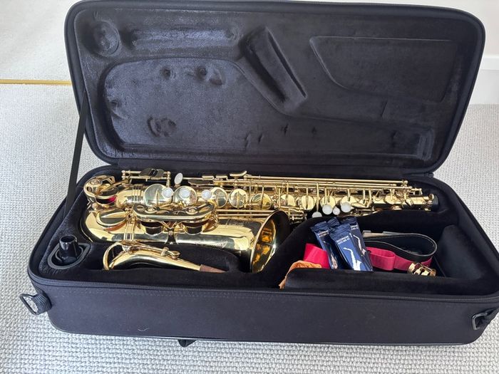 Trevor James Alto Saxophone Bundle