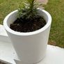 Large Plant pot Image 2