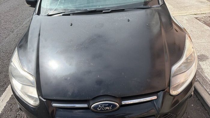 Ford focus 2013
