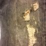 diesel jeans industry 36 Image 6