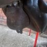 Stuben Horse saddle Image 3