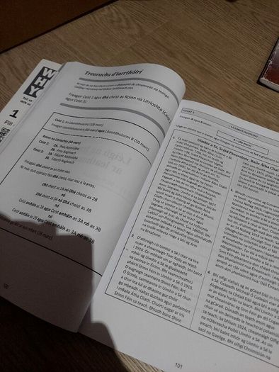 Edco Gaeilge Exam Papers 2025 / Ordinary Level