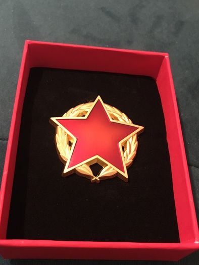 Pin