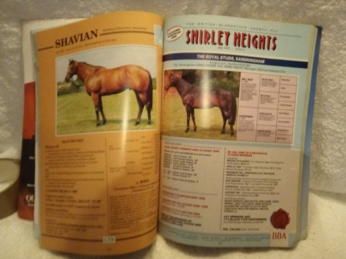 Sires For '92: The Stallion Directory