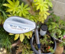 Regal "Wild Thing" 64 Degree Wedge