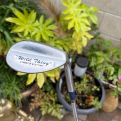 Regal "Wild Thing" 64 Degree Wedge