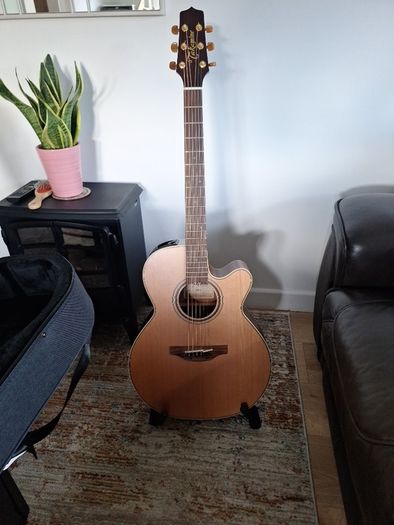 takamine P3NC