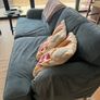 Ikea Stocksund 3 seater sofa (with extra covers) Image 2