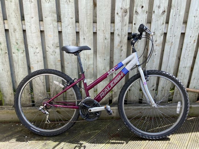 Raleigh Bike