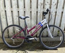 Raleigh Bike