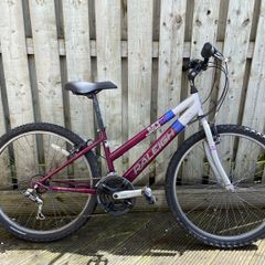 Raleigh Bike