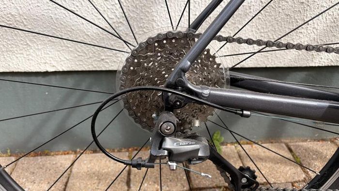 Giant Contend 2 (2022 model)