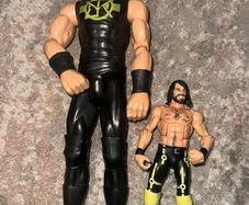 Large WWE Figure