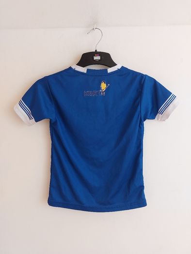 st peters gaa club jersey