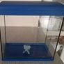 Fish Tank Image 4
