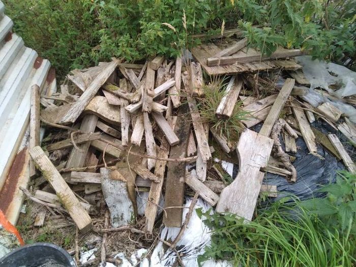 Old broken wood-Possible firewood