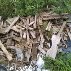 Old broken wood-Possible firewood