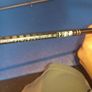 Daiwa legalis seabass 862 (5-21g) Image 3